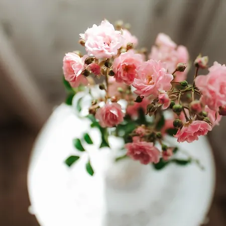 Lapmanni Dom wakacyjny *