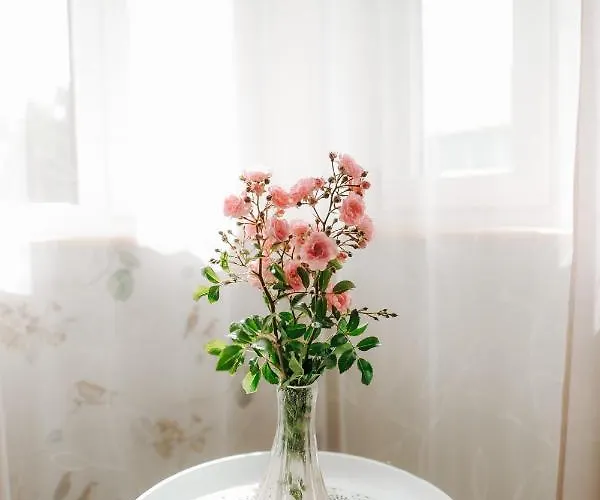 Lapmanni Holiday home